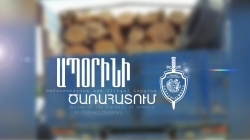 Ծառը հատած քաղաքացին ներկայացել է ոստիկանություն