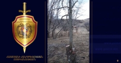 Ապօրինի ծառահատման հետքերով (ՏԵՍԱՆՅՈՒԹ) Ապօրինի ծառահատման հետքերով (ՏԵՍԱՆՅՈՒԹ)