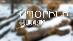 Բացահայտվել է ապօրինի ծառահատման դեպքը Բացահայտվել է ապօրինի ծառահատման դեպքը