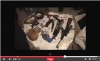 Ոստիկանները ապօրինի պահվող զենք-զինամթերք են հայտնաբերել (ՏԵՍԱՆՅՈՒԹ)