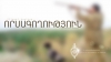 Նշանակվել է ծառայողական քննություն ապօրինի որս կատարելու համար Նշանակվել է ծառայողական քննություն ապօրինի որս կատարելու համար